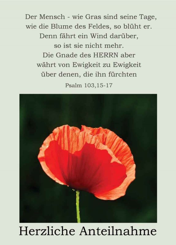 Faltkarte 058 Trauer - Psalm 103,15-17