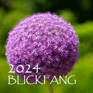 Kalender BLICKFANG 2024